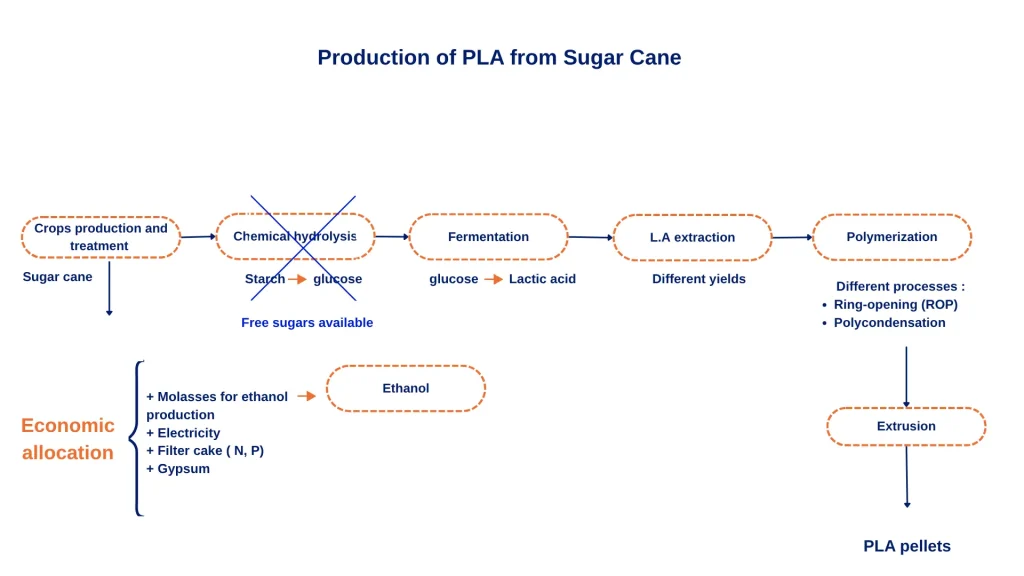 Sugar cane